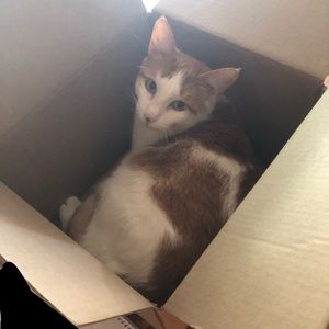 Meet your Posher, Clara